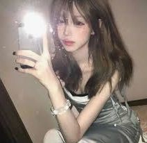 质量荣誉记录
